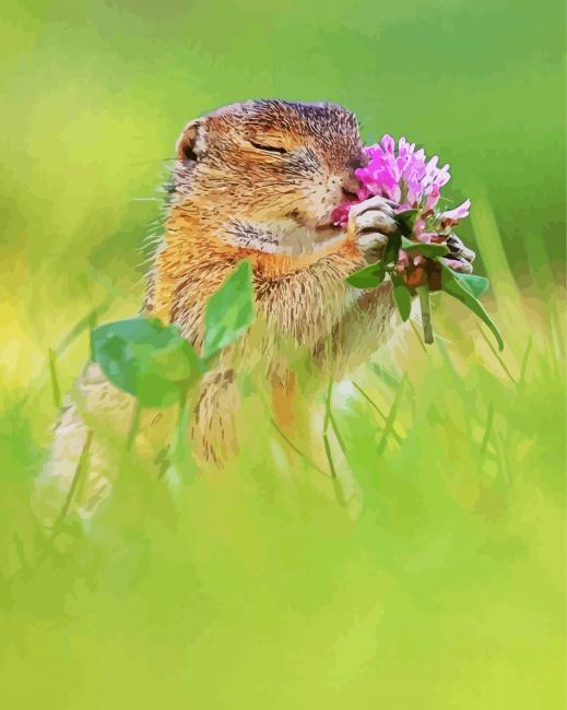 Cute Animal With Flowers paint by number