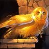 Golden Owl paint by number