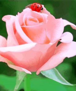 Ladybug On A Rose paint by number