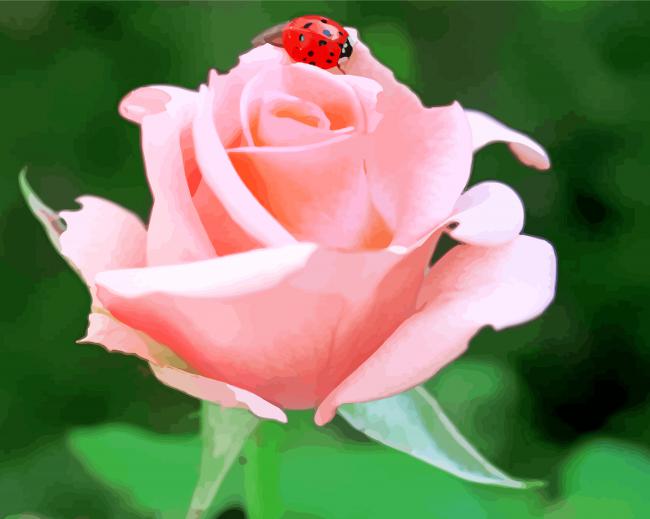 Ladybug On A Rose paint by number