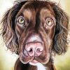 Pastel Dog Animal paint by number