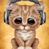 Cat With Headphones paint by number
