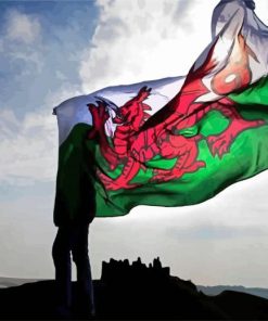 Wales Flag paint by number