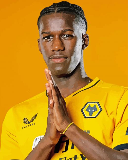 Willy Boly Wolves Player paint by number