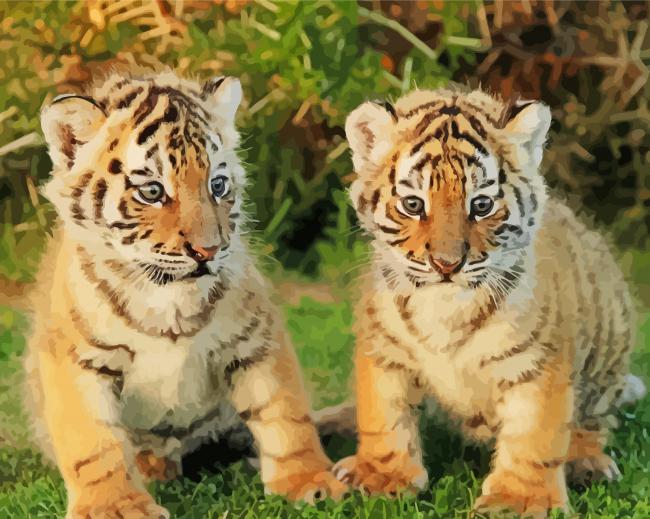 Baby Tigers paint by number