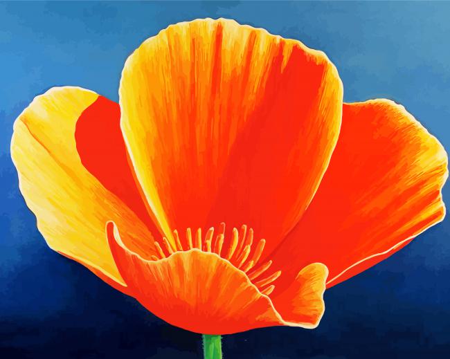 California Poppy Flower paint by number