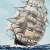 Clipper Ship Flying Cloud paint by number
