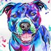 Colourful Staffy paint by number