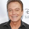 David Cassidy paint by number