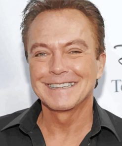 David Cassidy paint by number