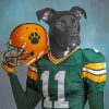 Football Player Dog paint by number
