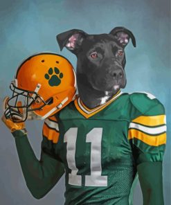 Football Player Dog paint by number