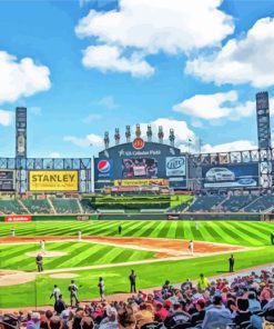 Guaranteed Rate Field paint by number
