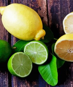 Lemons And Limes paint by number