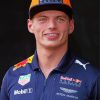 Max Verstappen Racer paint by number