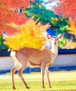 Nara Park paint by number