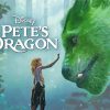 Petes Dragon Movie paint by number