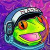 Space Frog Face paint by number
