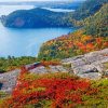 Bar Harbor Acadia National Park paint by number