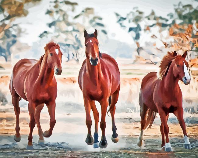 Brown Galloping Horses paint by number