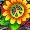 Hippie Flowers Art paint by number