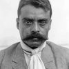 Monochrome Emiliano Zapata paint by number