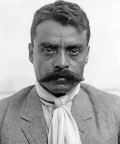 Monochrome Emiliano Zapata paint by number
