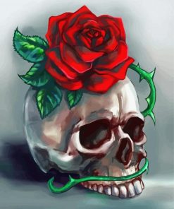 Red Rose Skull paint by number