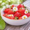 Strawberry And Daisies In Bowl paint by number