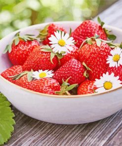 Strawberry And Daisies In Bowl paint by number