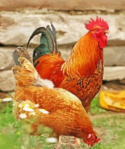 Chicken And Rooster paint by number