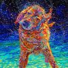 Aesthetic Wet Dog Art paint by number