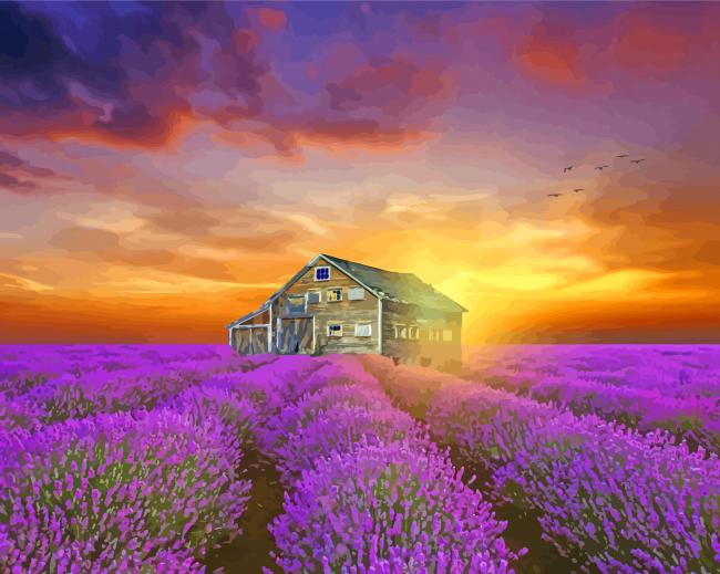 Beautiful Cottage And Lavender paint by number