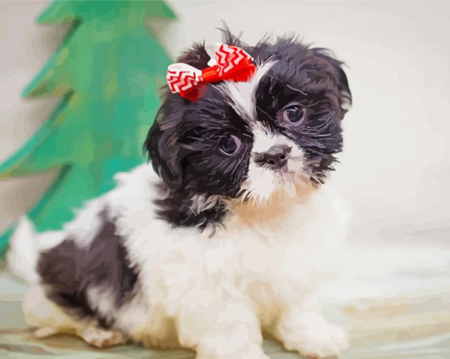 Shih Tzu Dog Puppy paint by number