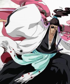 Bleach Anime Character Shunsui Kyoraku paint by number