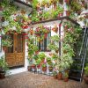 Cool House With Flowers paint by number