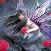 Gothic Fairy And Roses paint by number