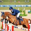 Hunter Jumpers paint by number