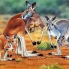 Red Kangaroos Family paint by number