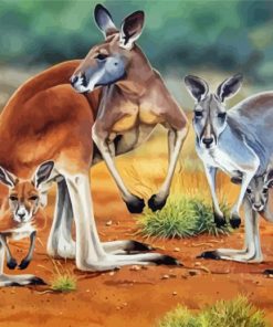Red Kangaroos Family paint by number