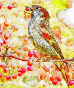 Sparrow On Cherry Branch paint by number