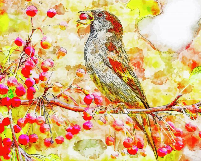 Sparrow On Cherry Branch paint by number