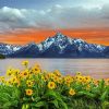 Teton Mountain And Flowers paint by number