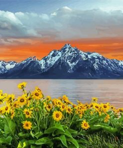 Teton Mountain And Flowers paint by number
