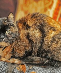 Tortoise Shell Cat paint by number