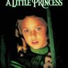 A Little Princess Poster paint by number