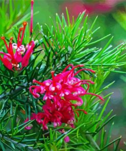 Aesthetic Grevillea paint by number
