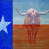 Texas Longhorn Flag paint by number