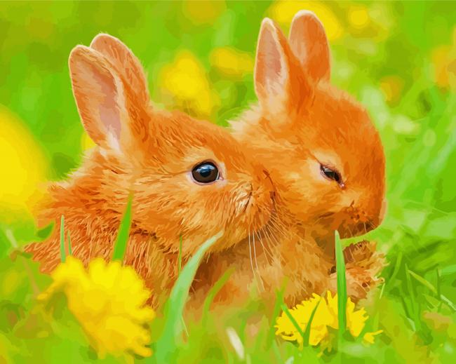 Brown Baby Rabbits paint by number
