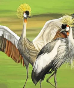 Grey Crowned Crane paint by number